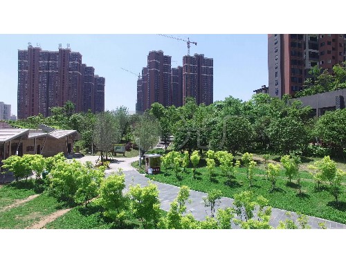 西站绿化工程中标单位名单