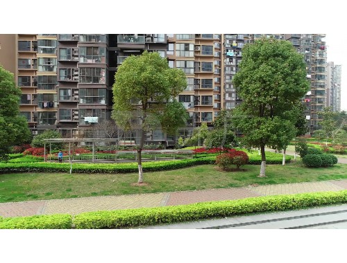 新疆小区绿化工程公司排名