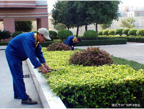 文昌边坡绿化工程项目招标