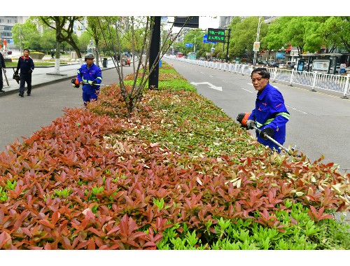 咸宁温泉绿化工程公司