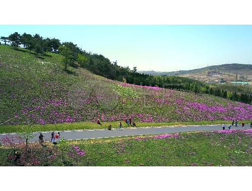 湘潭市城市绿化率排名表