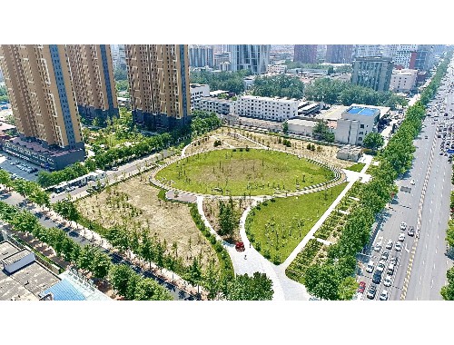 园林绿化工程项目计划阶段