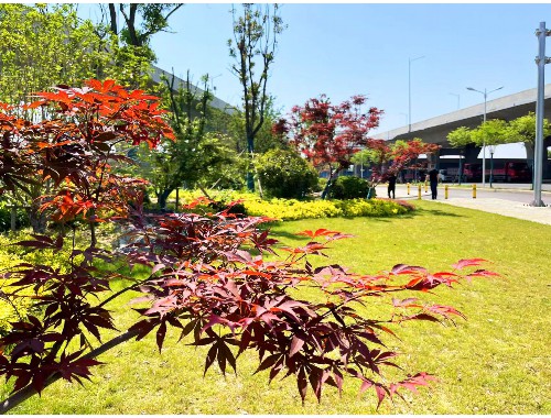 榆林二街绿化工程中标公示