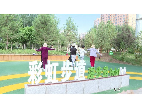 新乡市城市绿化普查手册