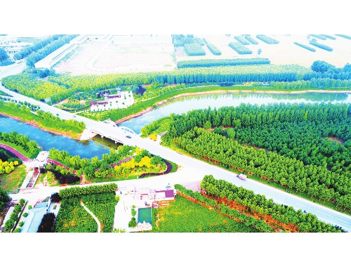 银川依润园林绿化工程建设公司
