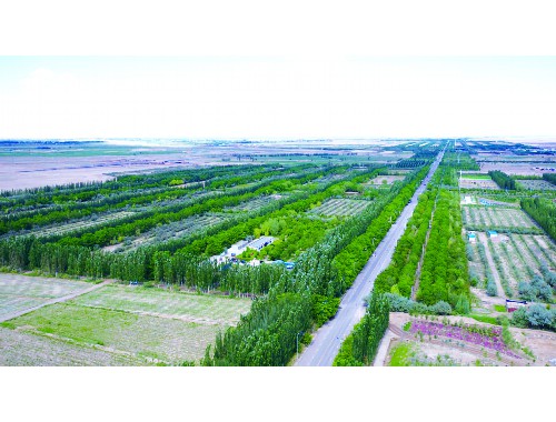 贤浦路北延伸绿化工程招标