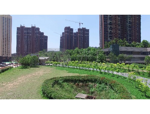 咸阳泰来园林绿化工程