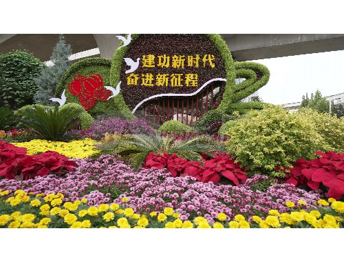 孝义园林绿化工程施工