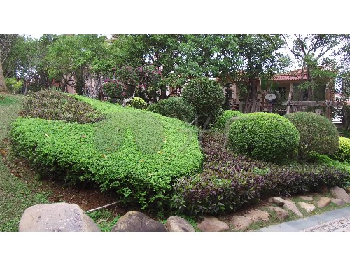 宜城市湖畔人家绿化工程